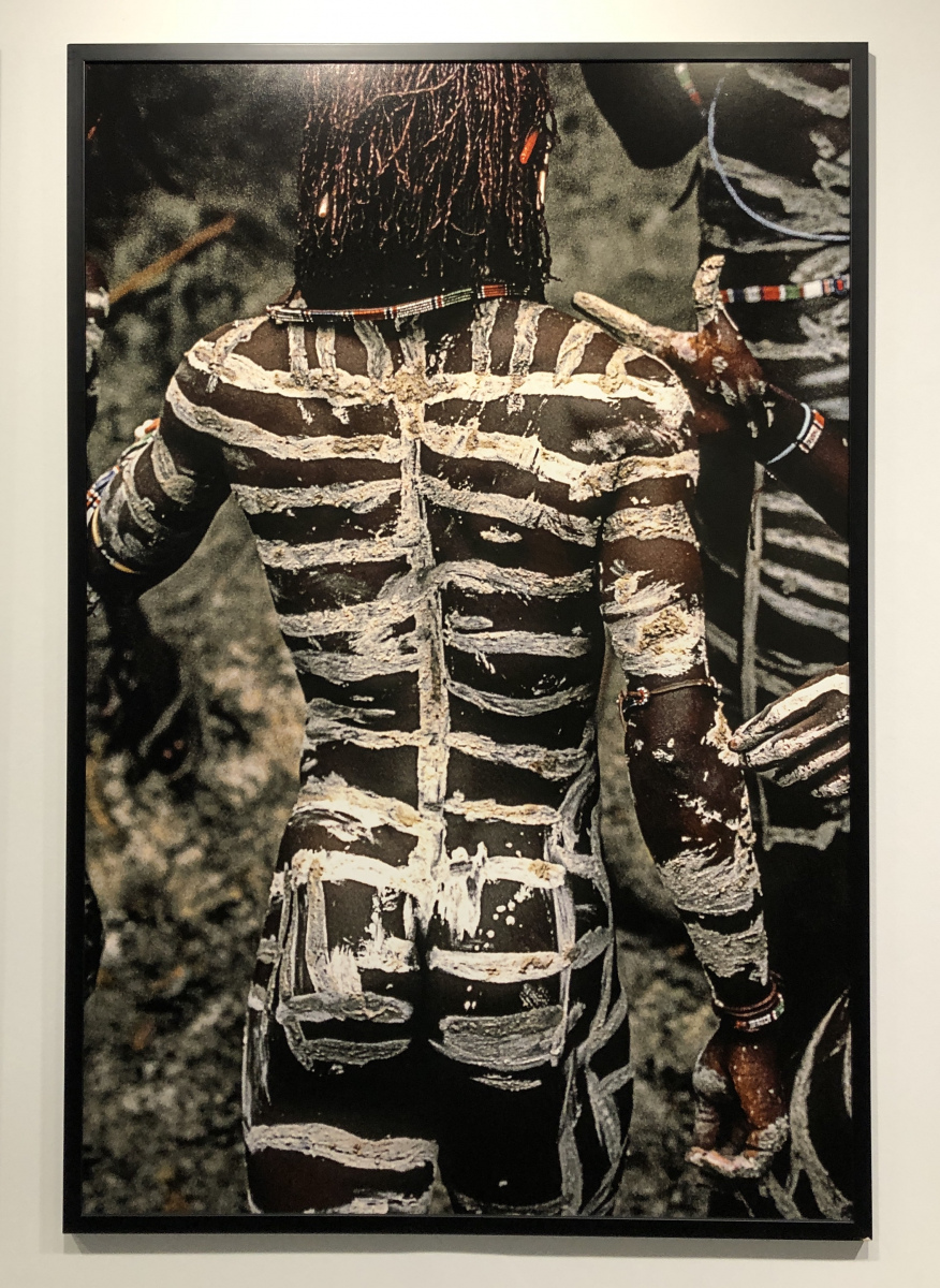 Visite de l'exposition consacrée à Yann Arthus Bertrand