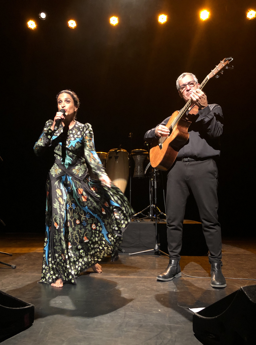 Concert de Noa