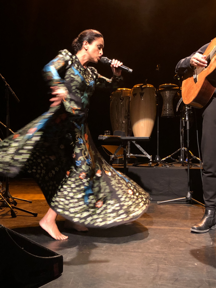 Concert de Noa