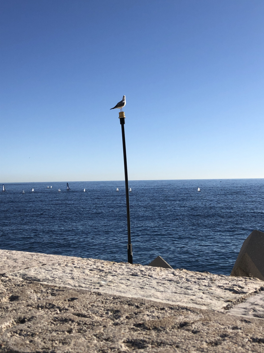 Balade au port Lympia