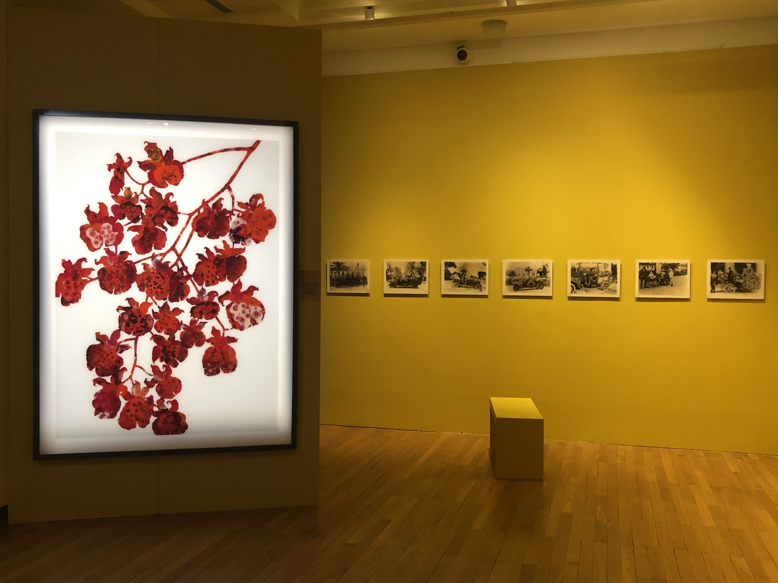 Visite de l'exposition 