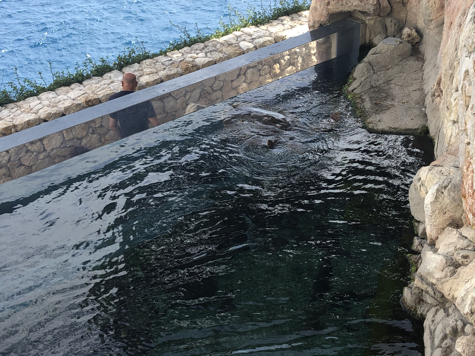 Balade à Monaco