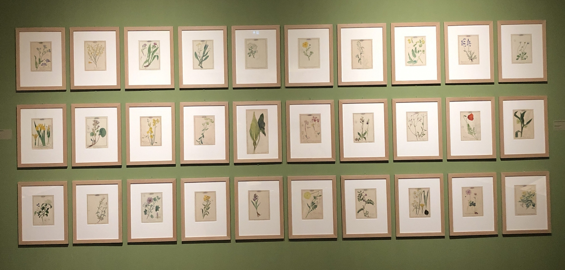 Visite de l'exposition 