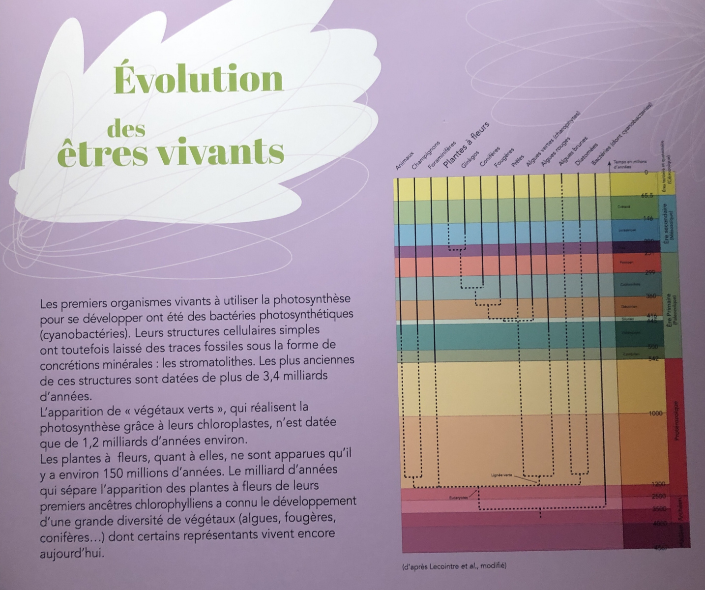 Exposition 