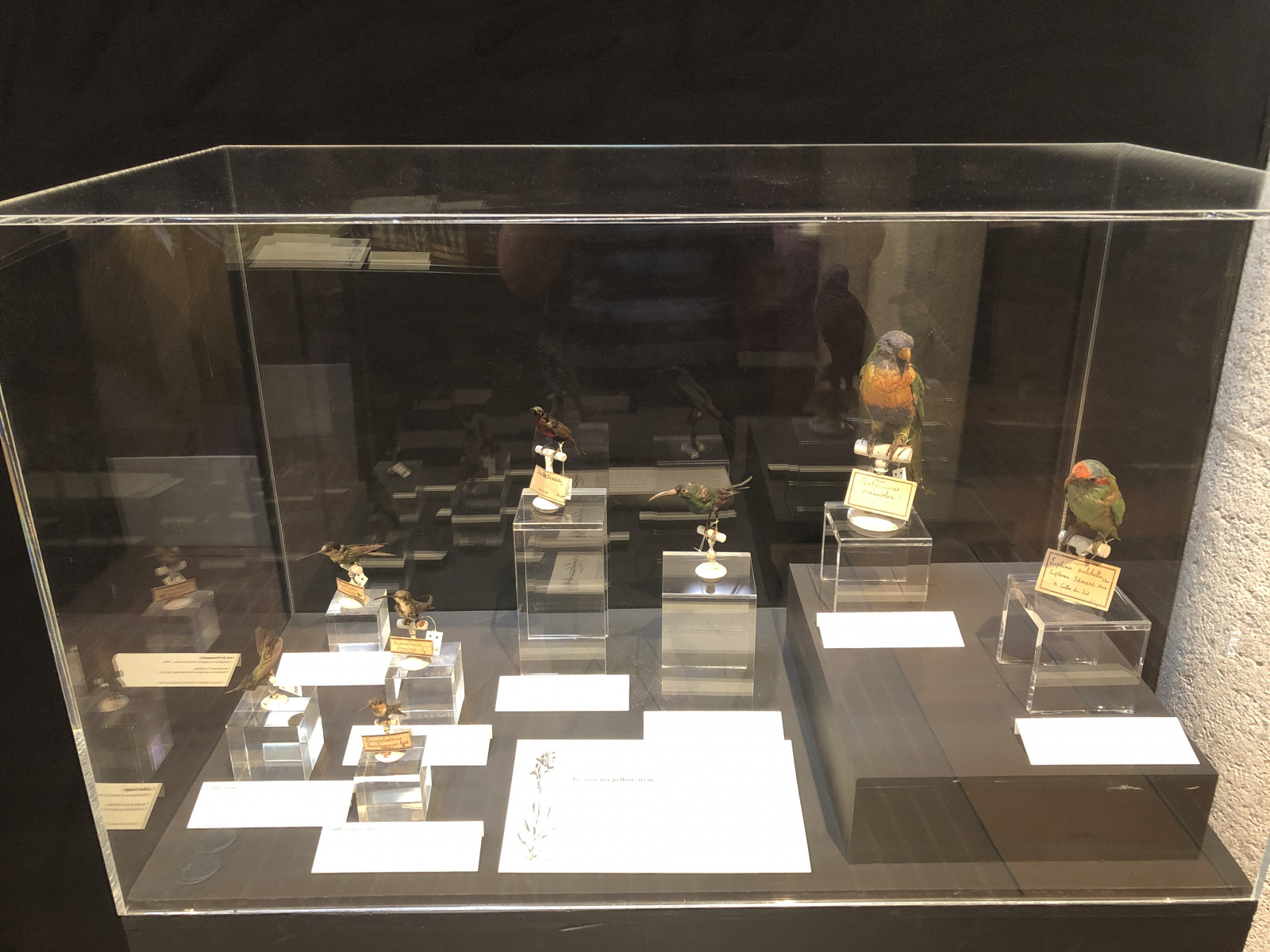 Exposition 