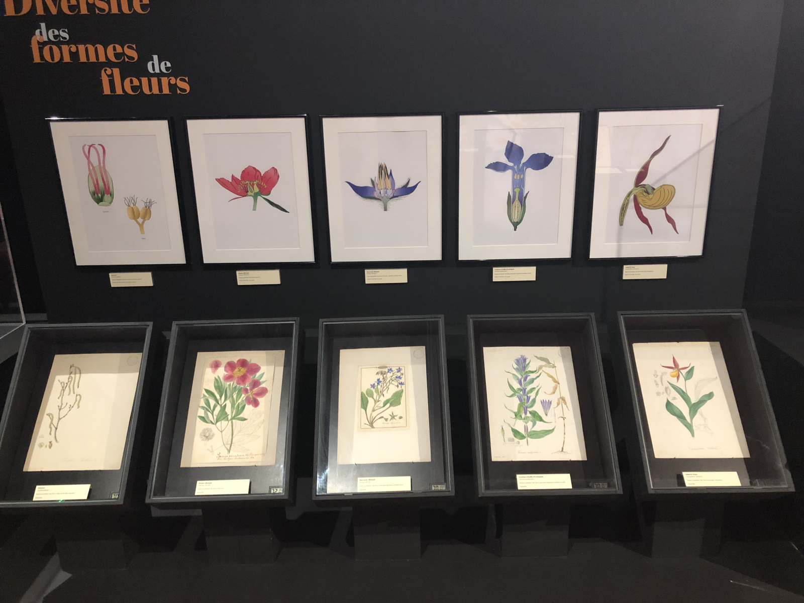 Exposition 