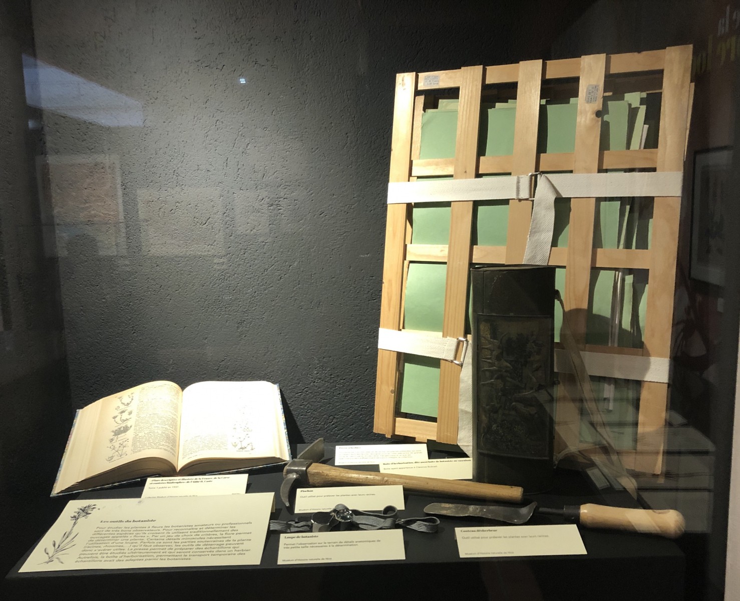 Exposition 