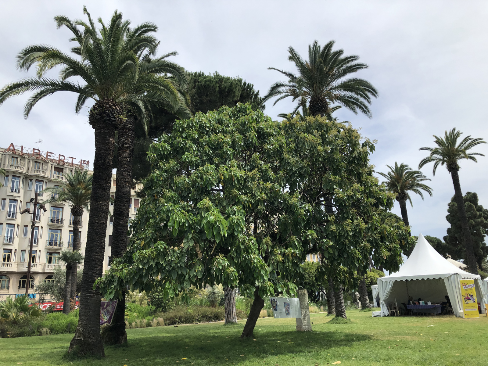 Balade au festival du livre 2022 de Nice