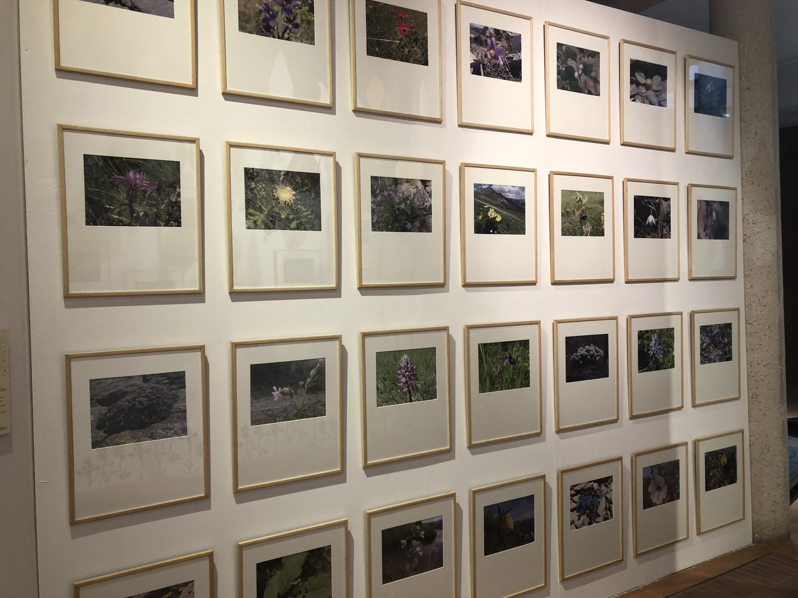 Exposition 