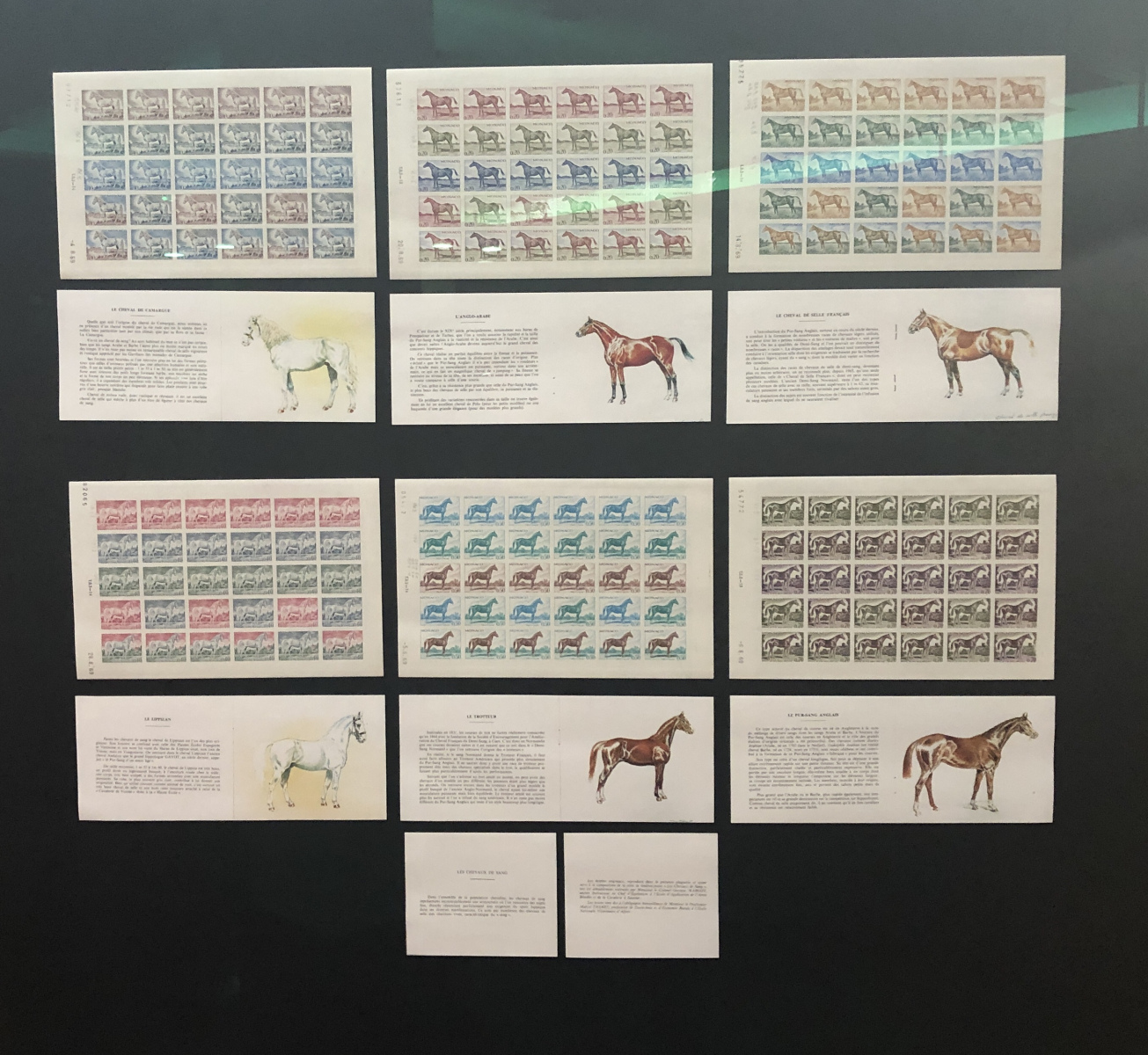 Visite du musée des timbres et des monnaies de Monaco