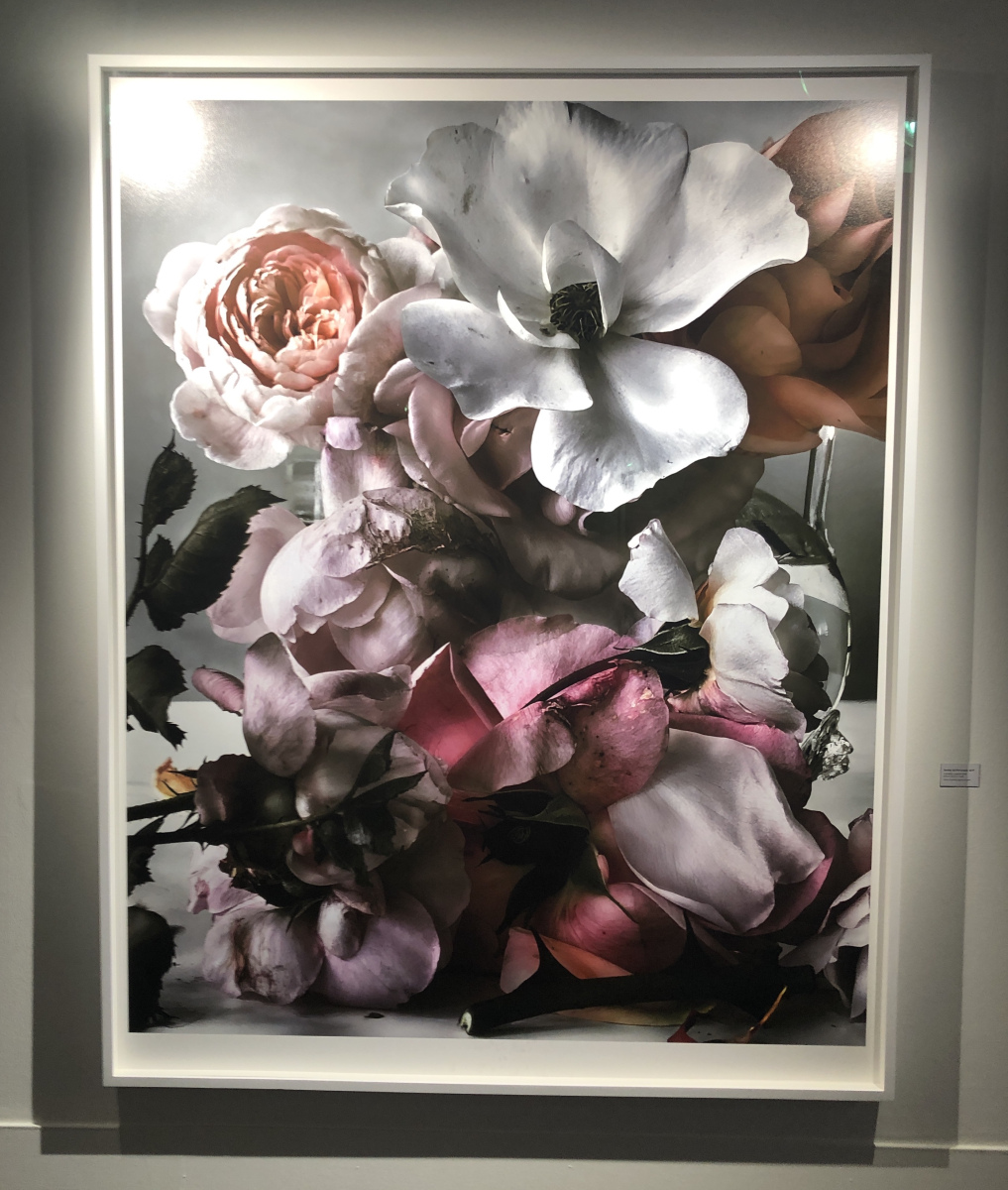 Exposition NICK KNIGHT – ROSES FROM MY GARDEN