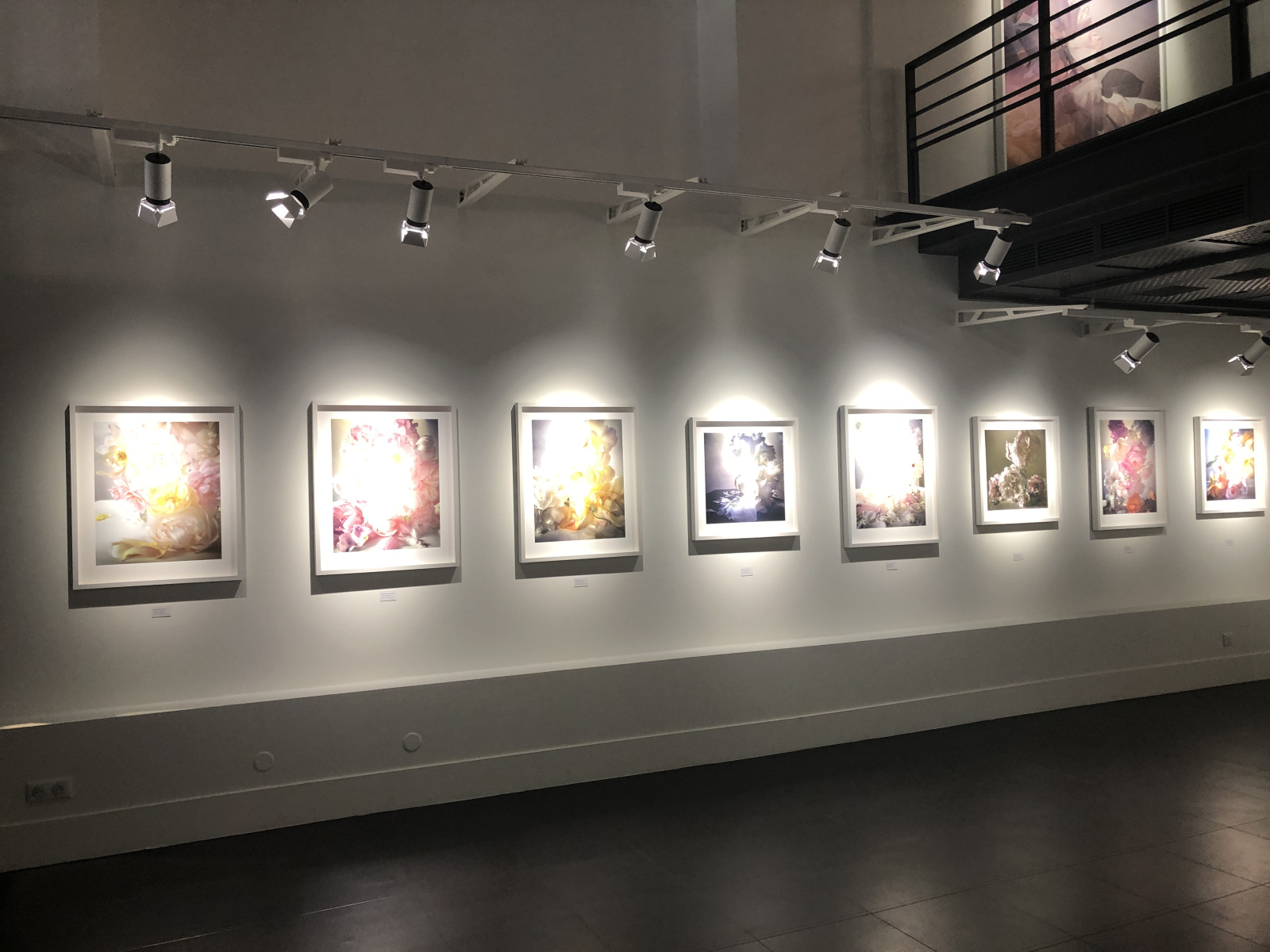 Exposition NICK KNIGHT – ROSES FROM MY GARDEN