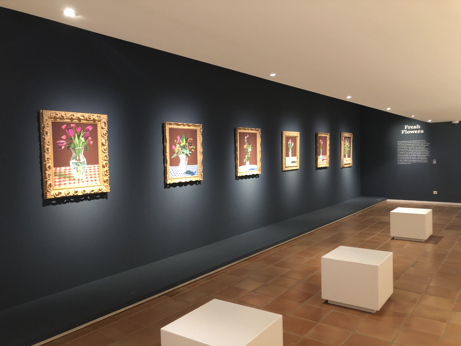 Visite de l'exposition 