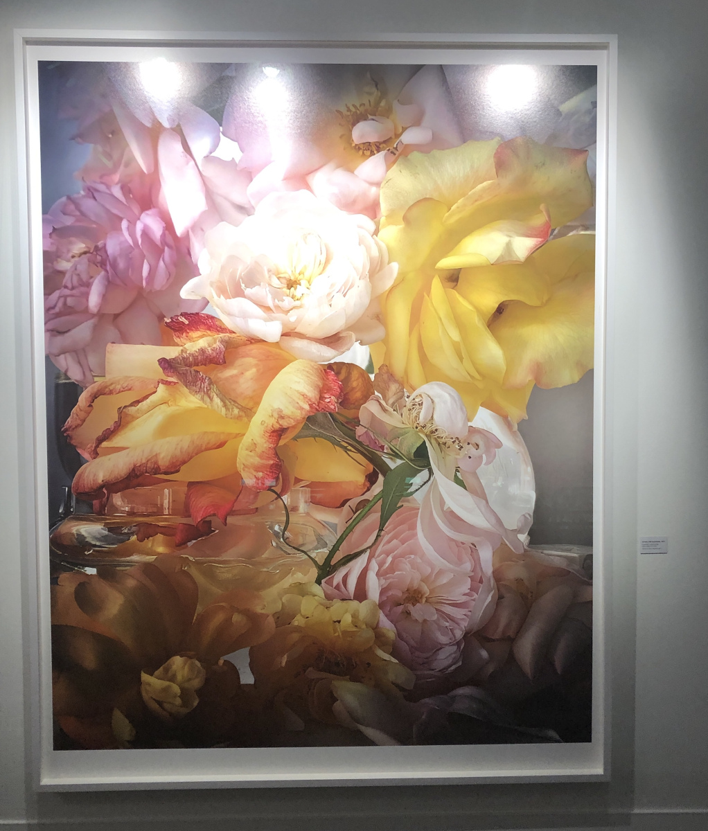 Exposition NICK KNIGHT – ROSES FROM MY GARDEN