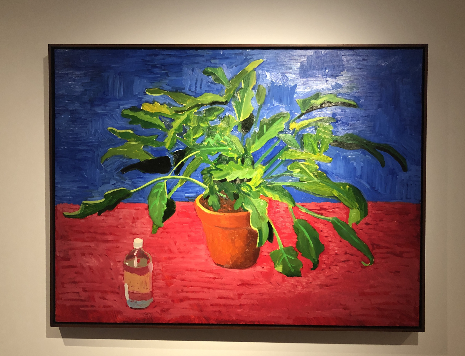Visite de l'exposition 