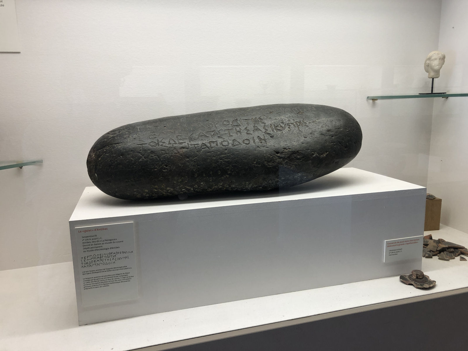 Visite du musée d'archéologie d'Antibes