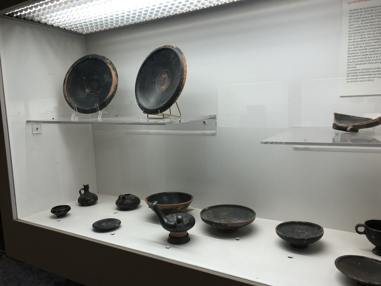 Visite du musée d'archéologie d'Antibes