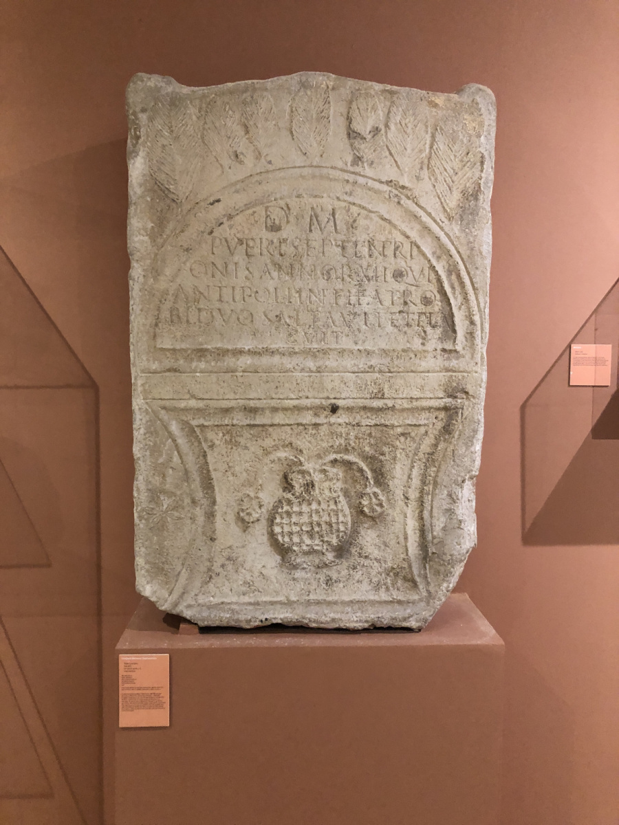Visite du musée d'archéologie d'Antibes