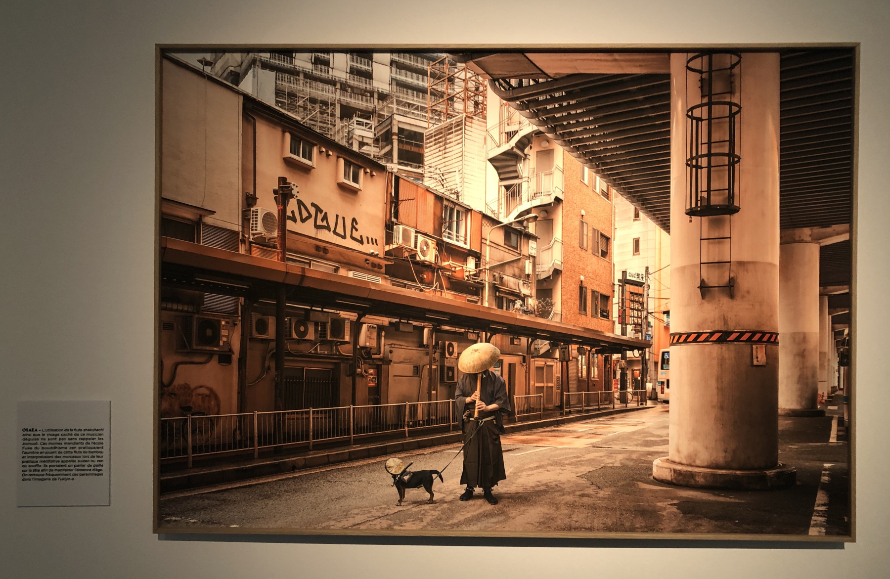 Visite de l'exposition 