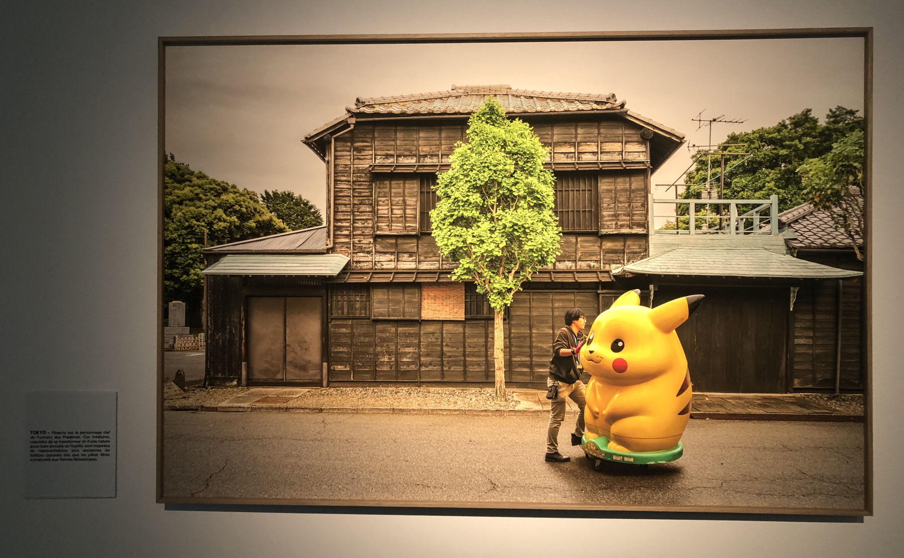 Visite de l'exposition 