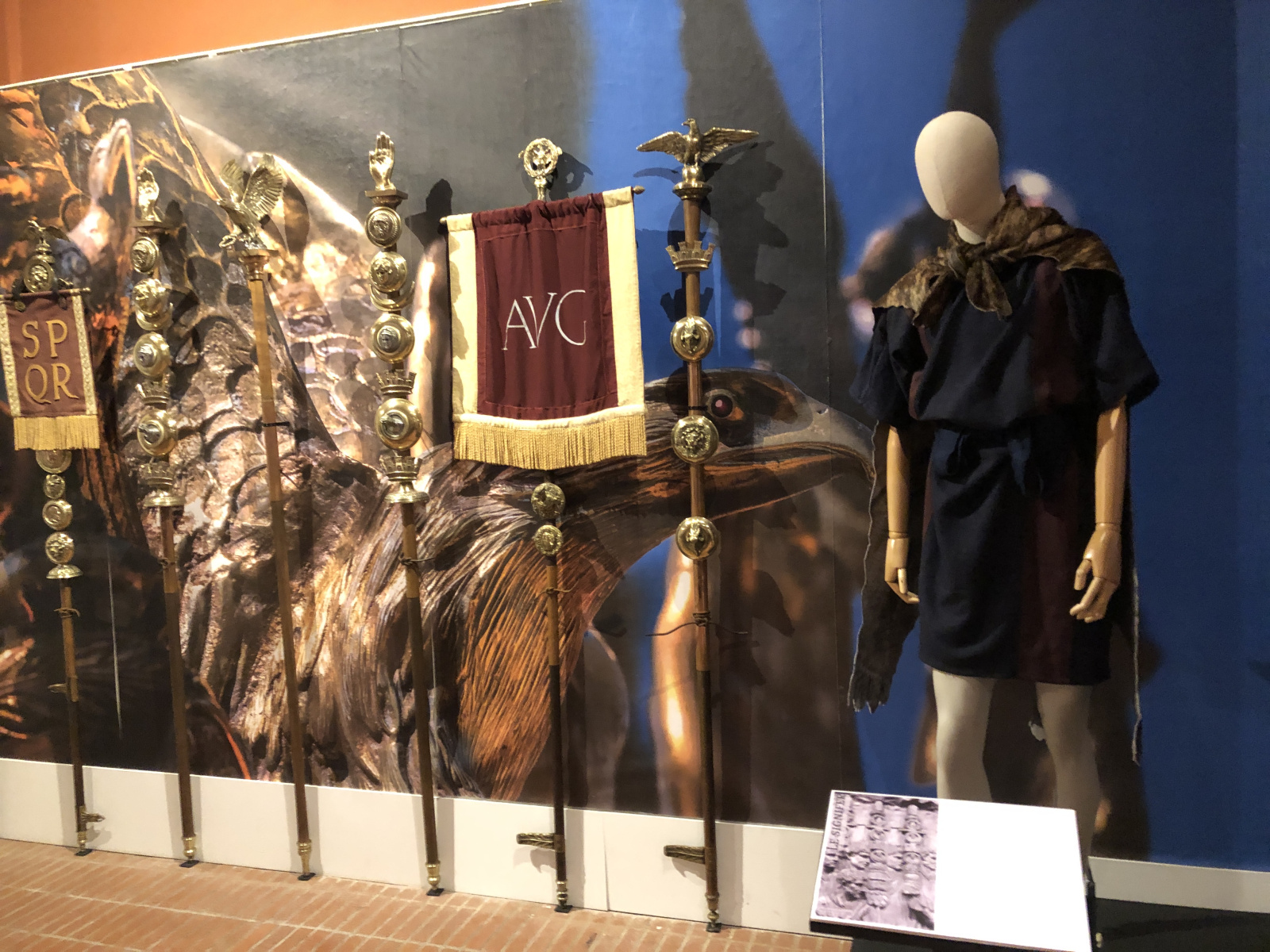 Exposition 