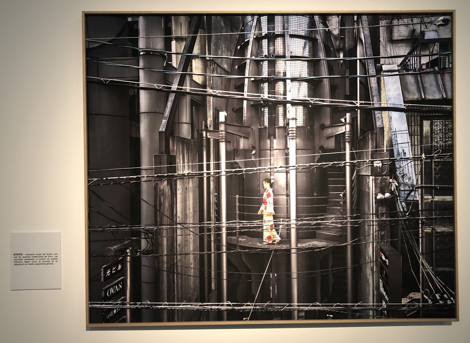 Visite de l'exposition 