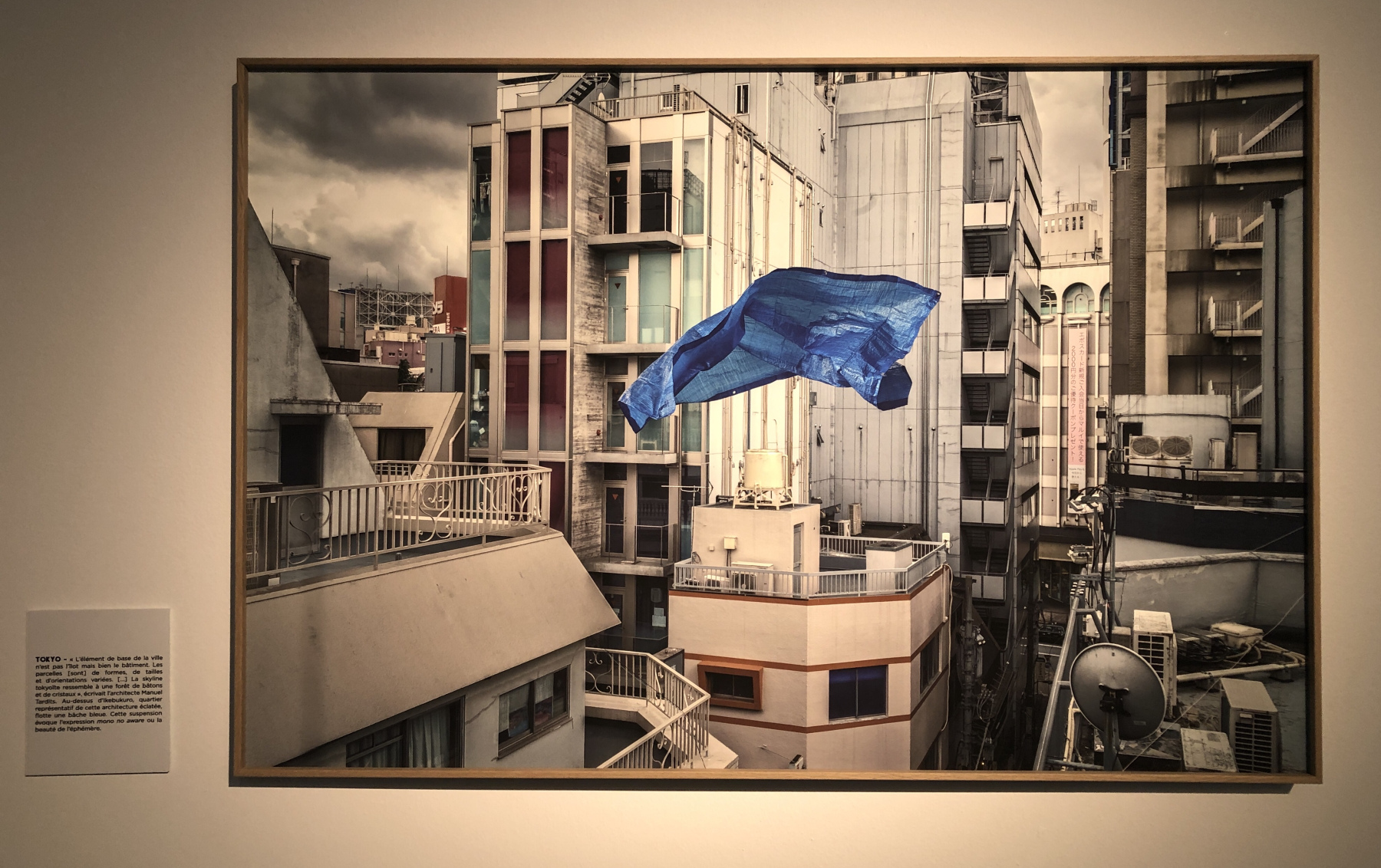Visite de l'exposition 