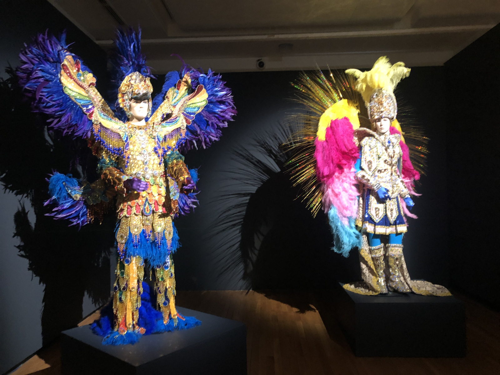 Exposition « Nice et le fabuleux Carnaval de Rio » au musée Masséna