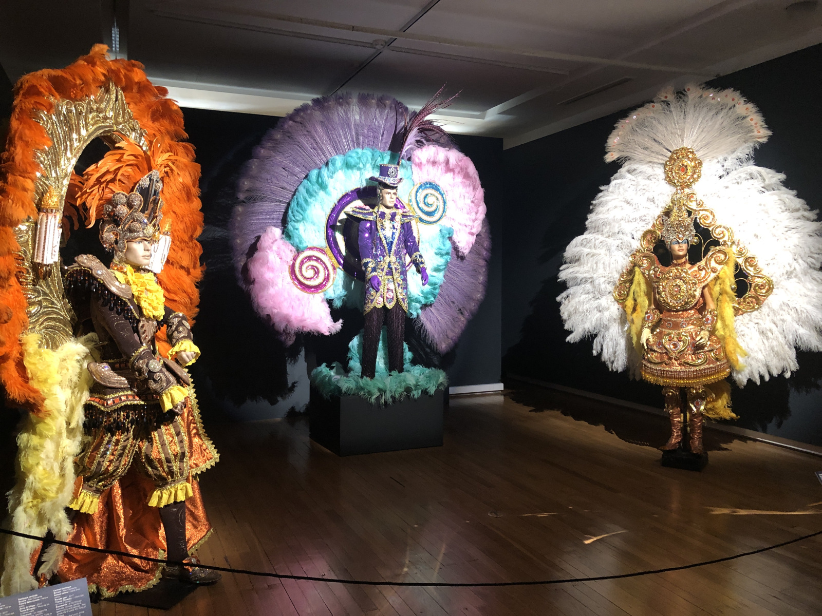 Exposition « Nice et le fabuleux Carnaval de Rio » au musée Masséna