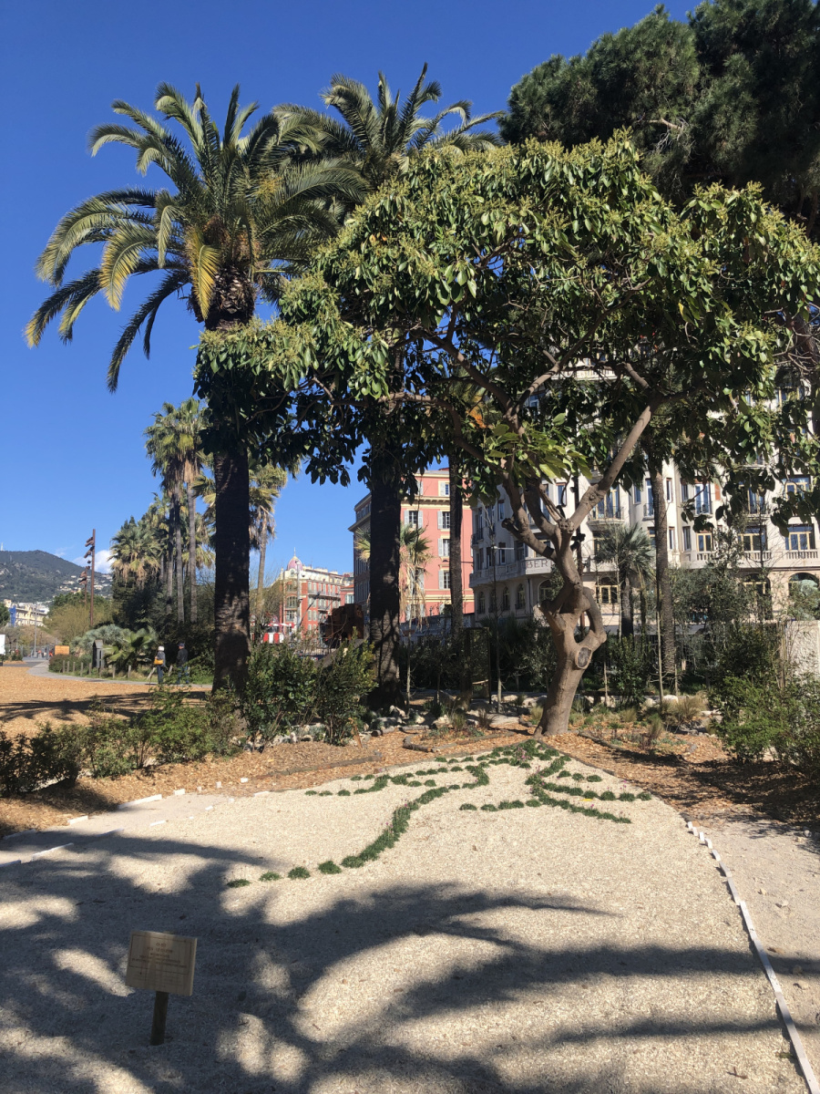Festival des jardins 2023 à Nice