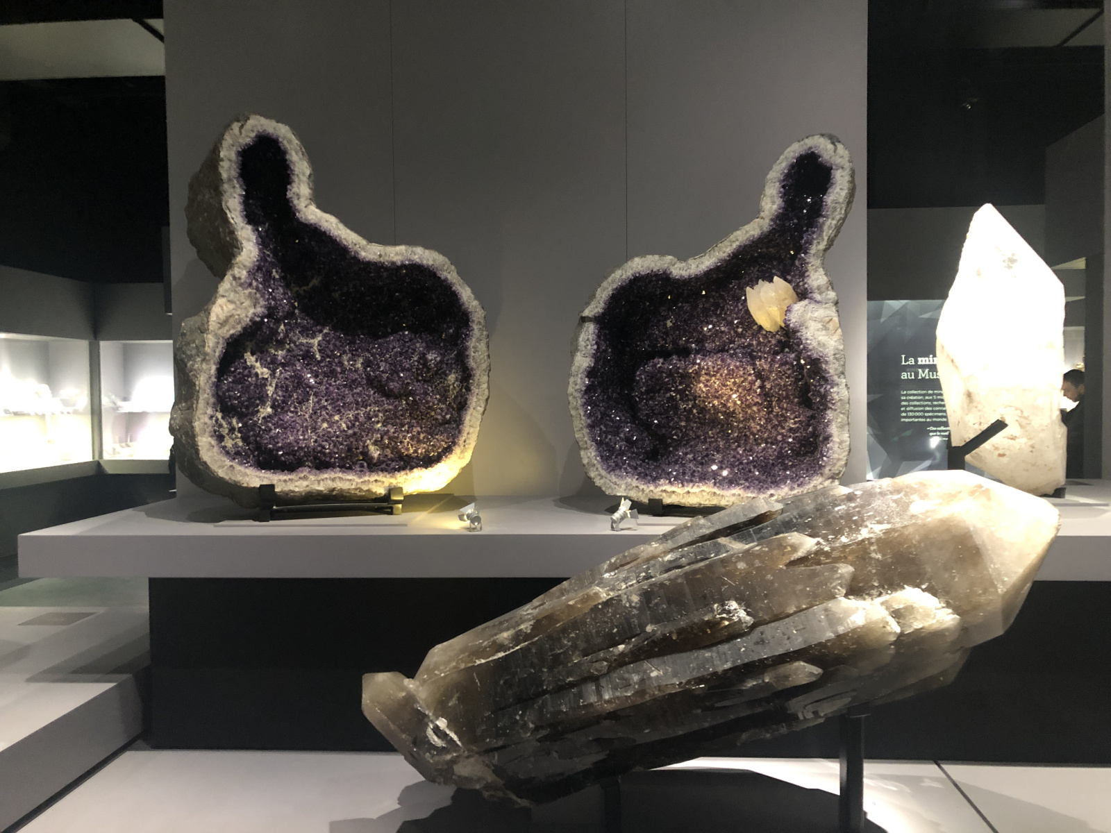Visite du musée de minéralogie à Paris