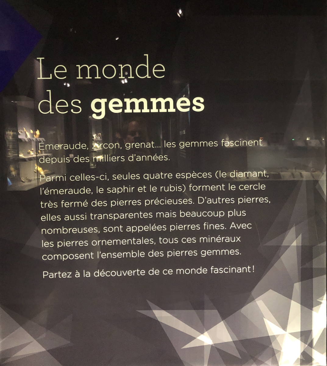Visite du musée de minéralogie à Paris
