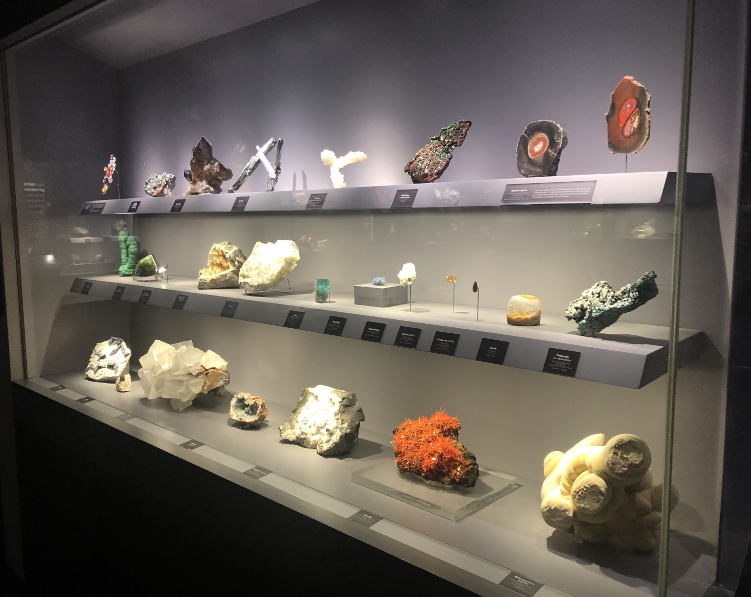 Visite du musée de minéralogie à Paris