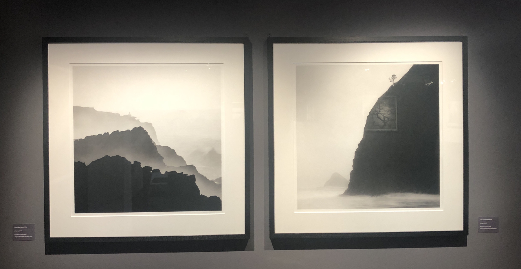Visite de l'exposition Jeffrey Conley « UNE ODE À LA NATURE »