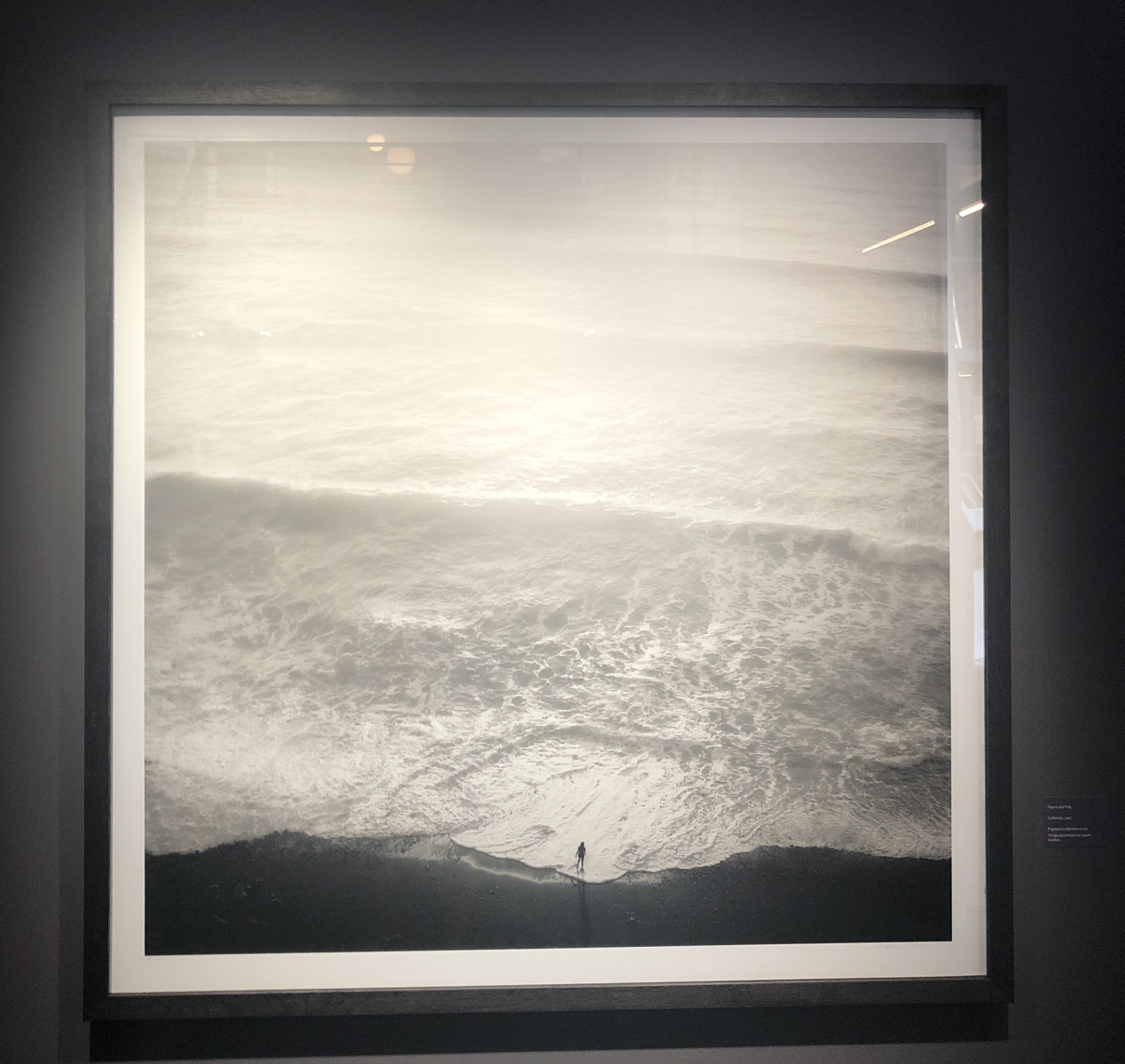 Visite de l'exposition Jeffrey Conley « UNE ODE À LA NATURE »