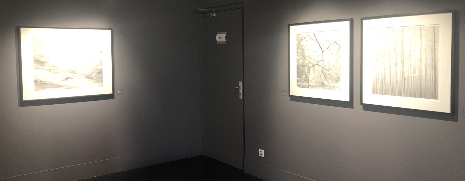 Visite de l'exposition Jeffrey Conley « UNE ODE À LA NATURE »