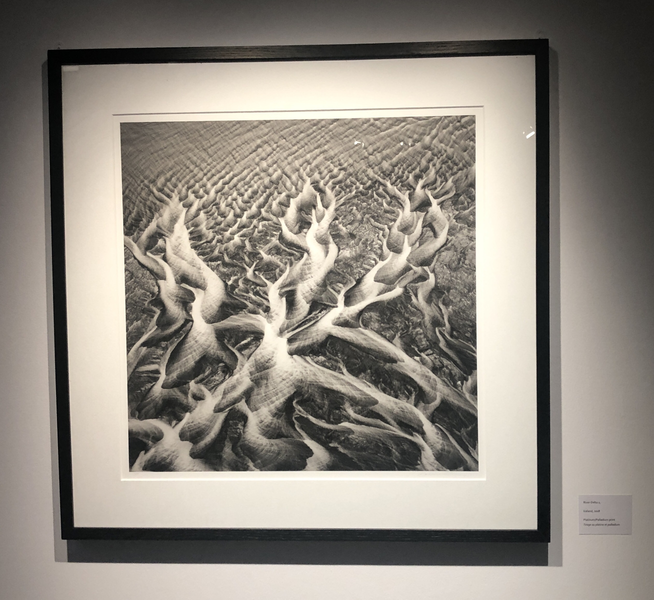 Visite de l'exposition Jeffrey Conley « UNE ODE À LA NATURE »
