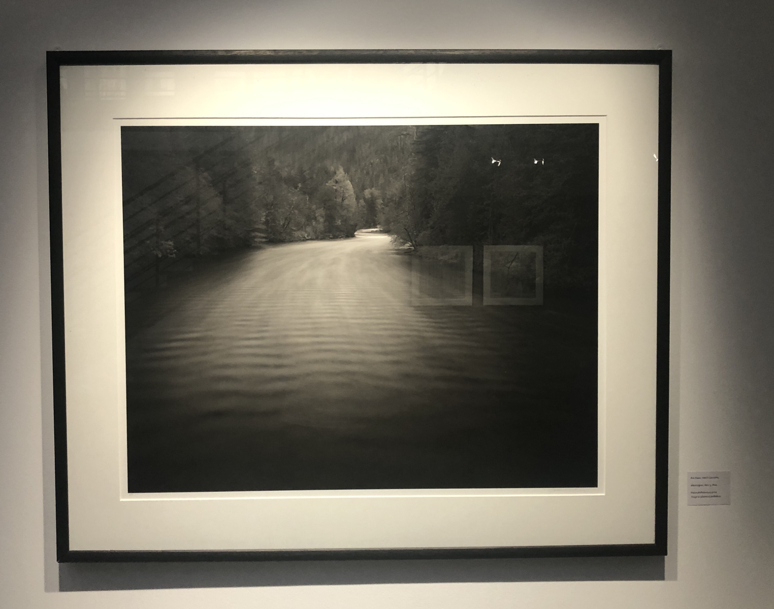 Visite de l'exposition Jeffrey Conley « UNE ODE À LA NATURE »