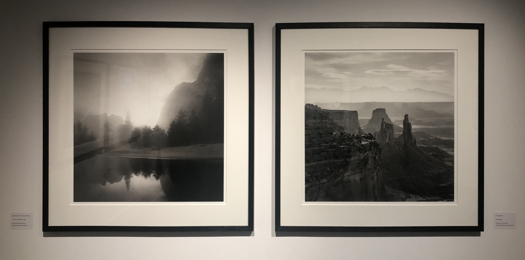 Visite de l'exposition Jeffrey Conley « UNE ODE À LA NATURE »
