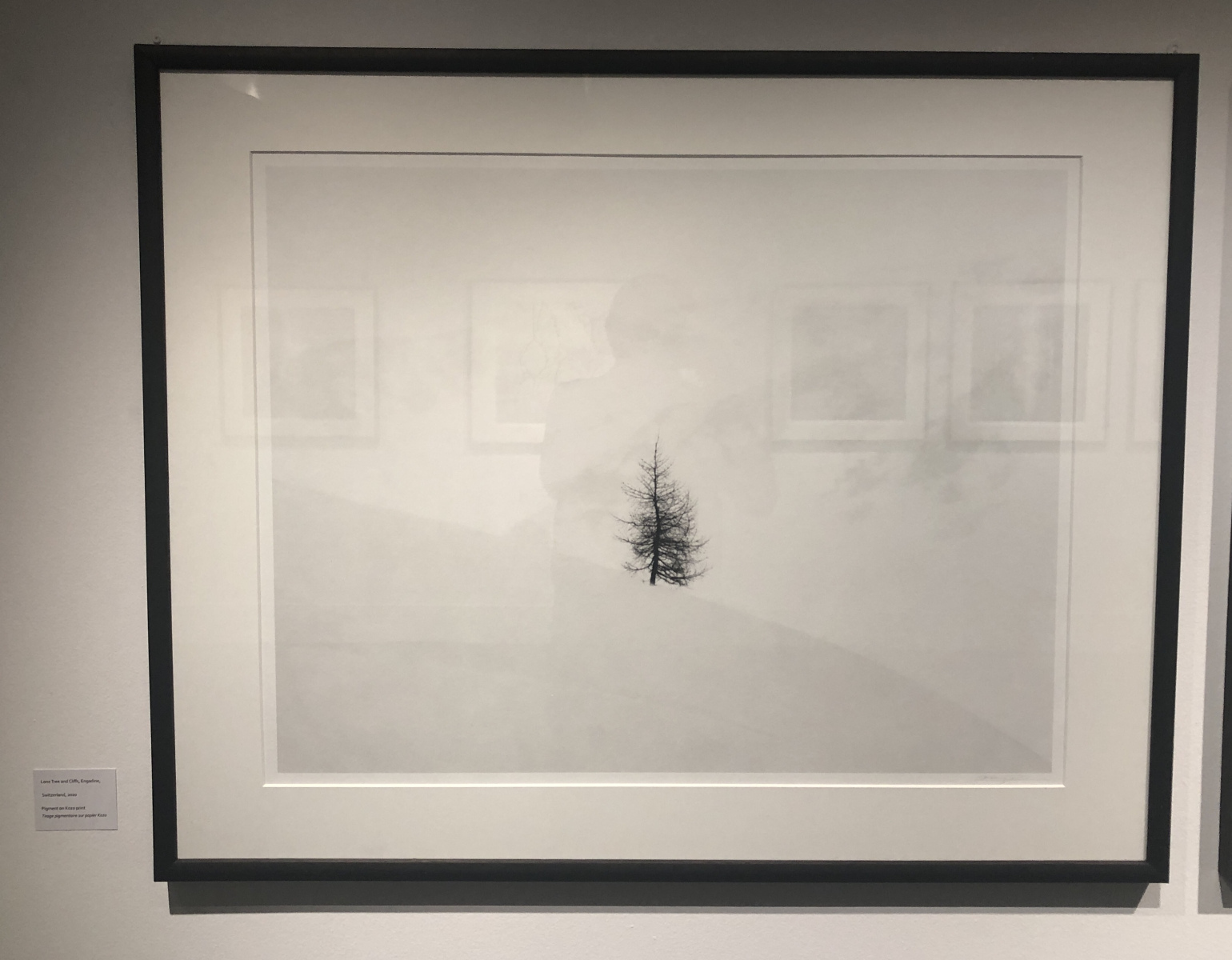 Visite de l'exposition Jeffrey Conley « UNE ODE À LA NATURE »