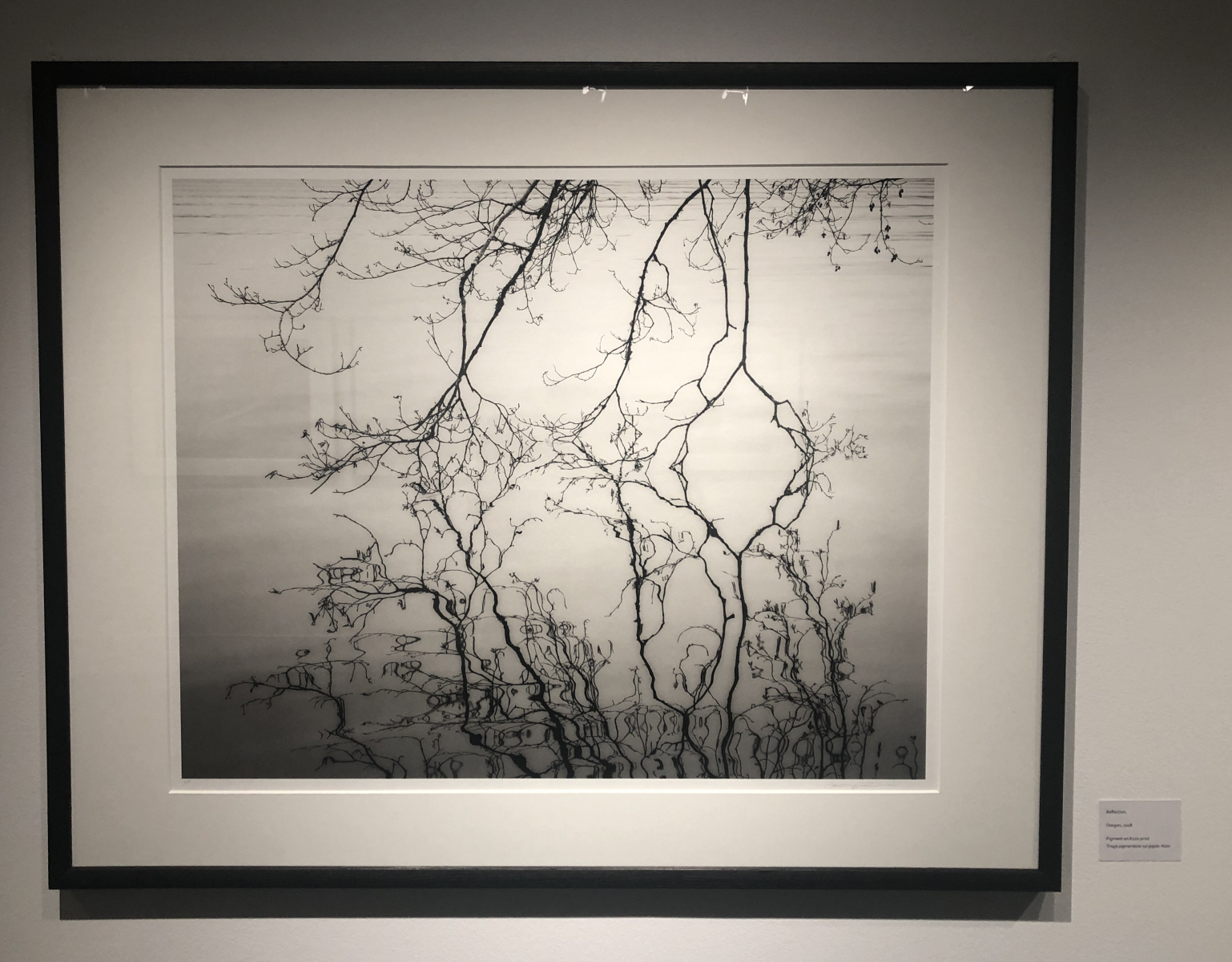 Visite de l'exposition Jeffrey Conley « UNE ODE À LA NATURE »