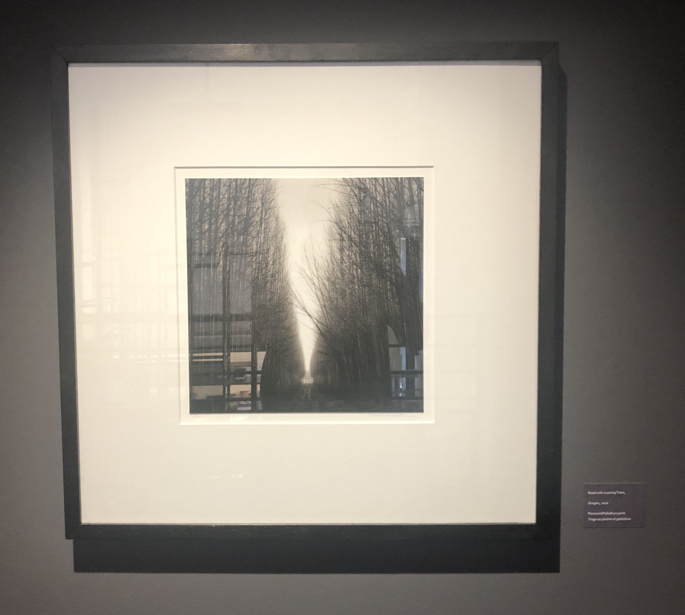 Visite de l'exposition Jeffrey Conley « UNE ODE À LA NATURE »