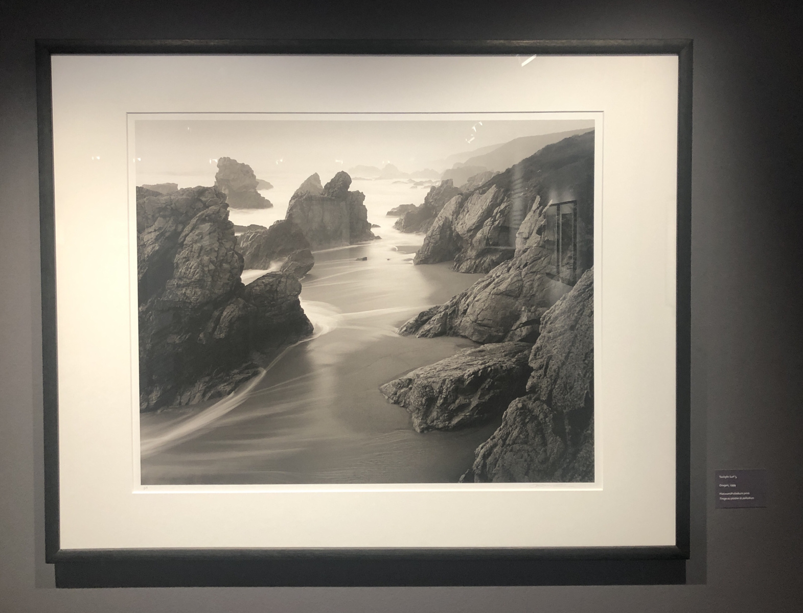 Visite de l'exposition Jeffrey Conley « UNE ODE À LA NATURE »