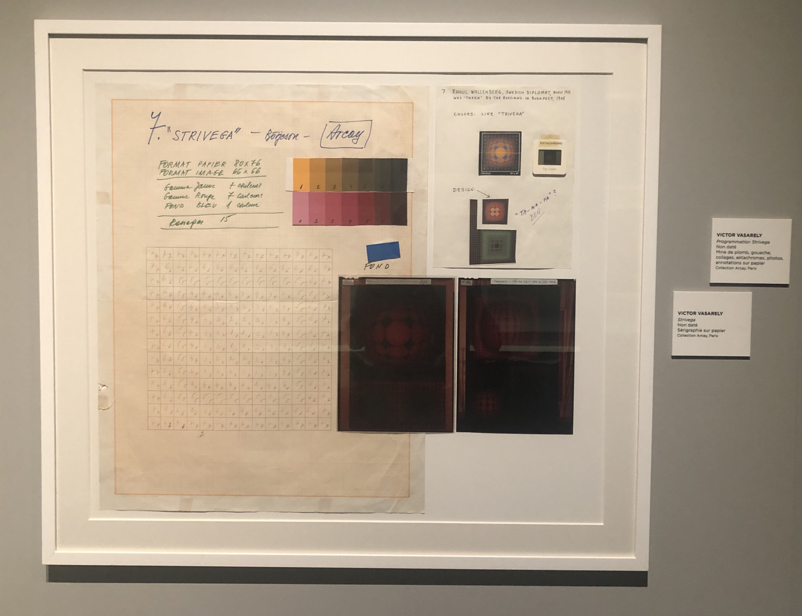 Visite de l'exposition Vasarely à la galerie Lympia à Nice