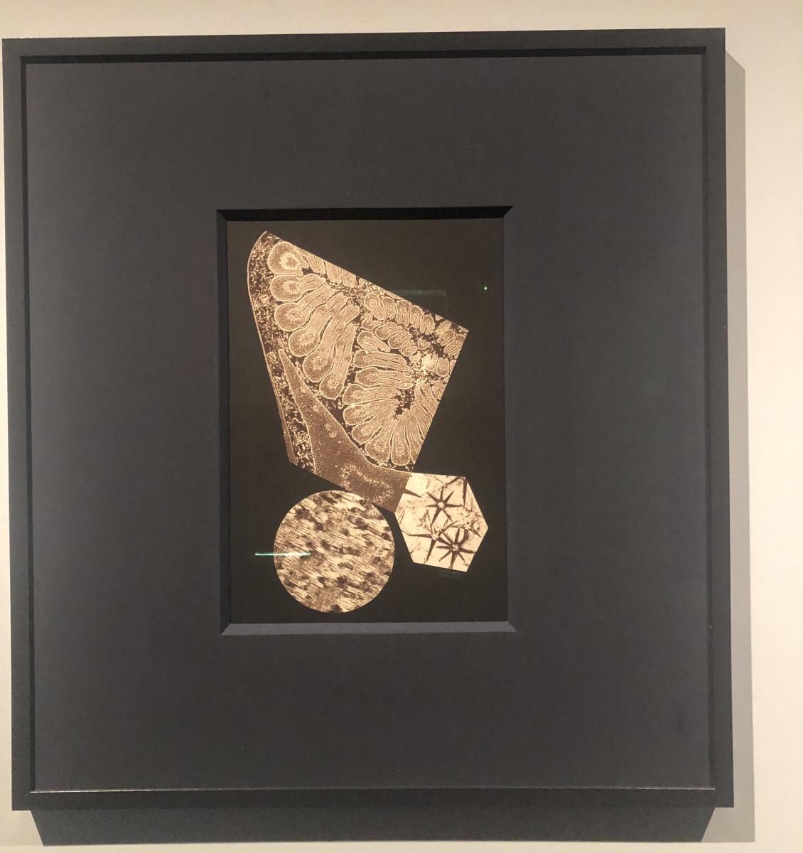 Visite de l'exposition Vasarely à la galerie Lympia à Nice