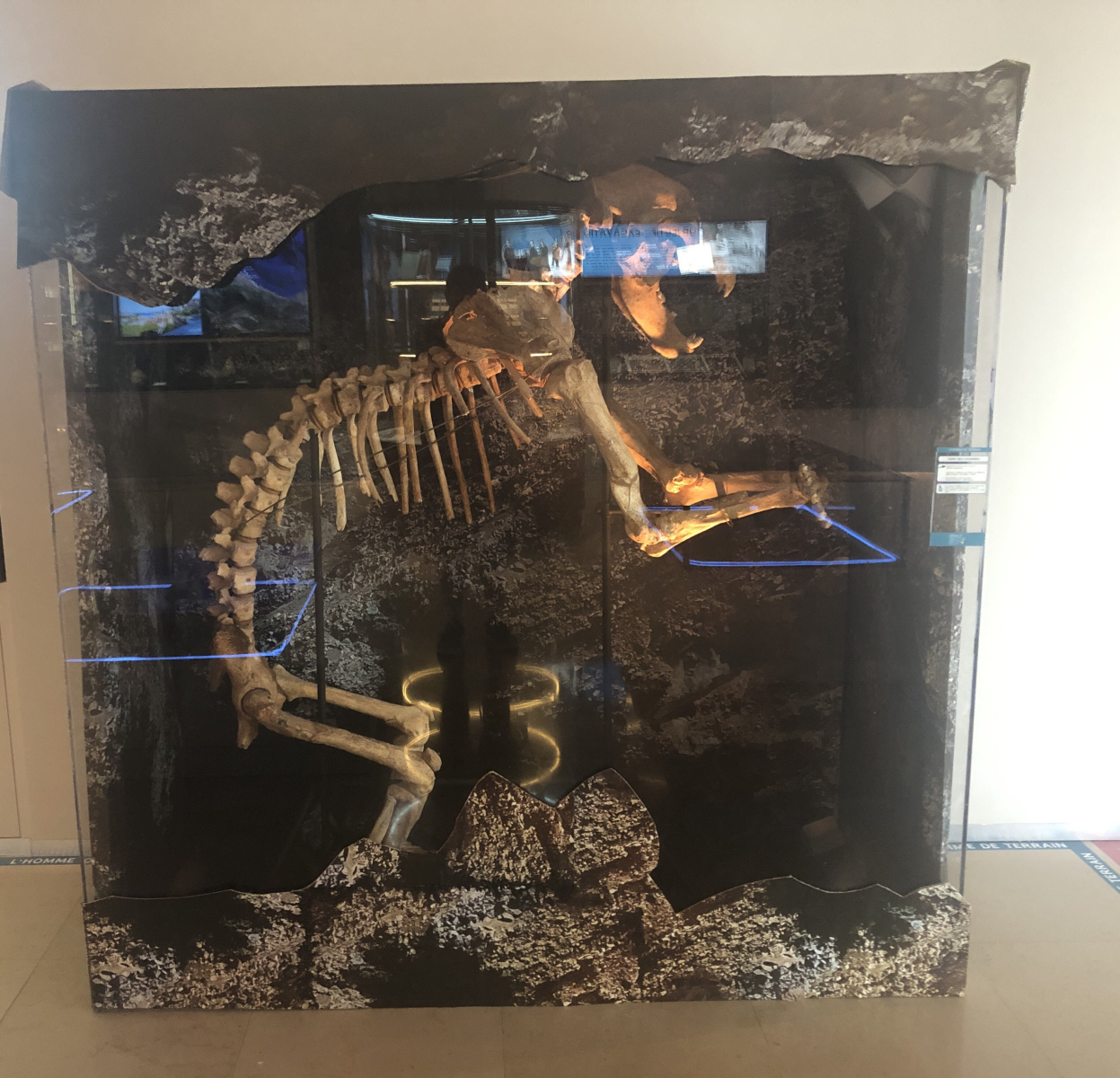 Visite du Musée d’Anthropologie préhistorique  de Monaco