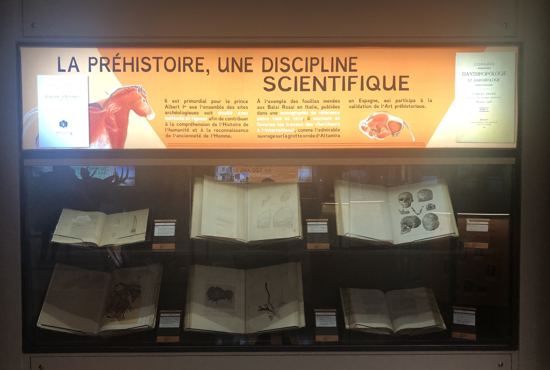 Visite du Musée d’Anthropologie préhistorique  de Monaco