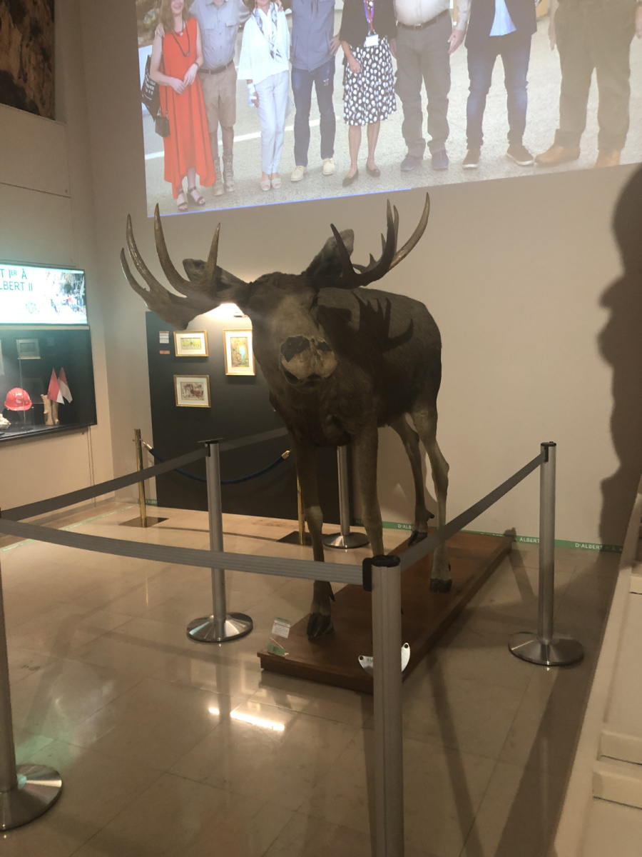 Visite du Musée d’Anthropologie préhistorique  de Monaco