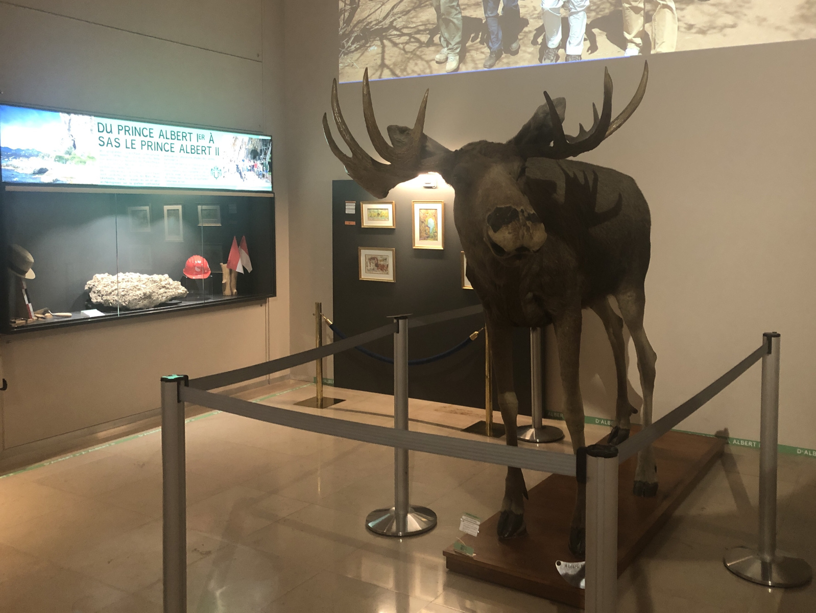 Visite du Musée d’Anthropologie préhistorique  de Monaco