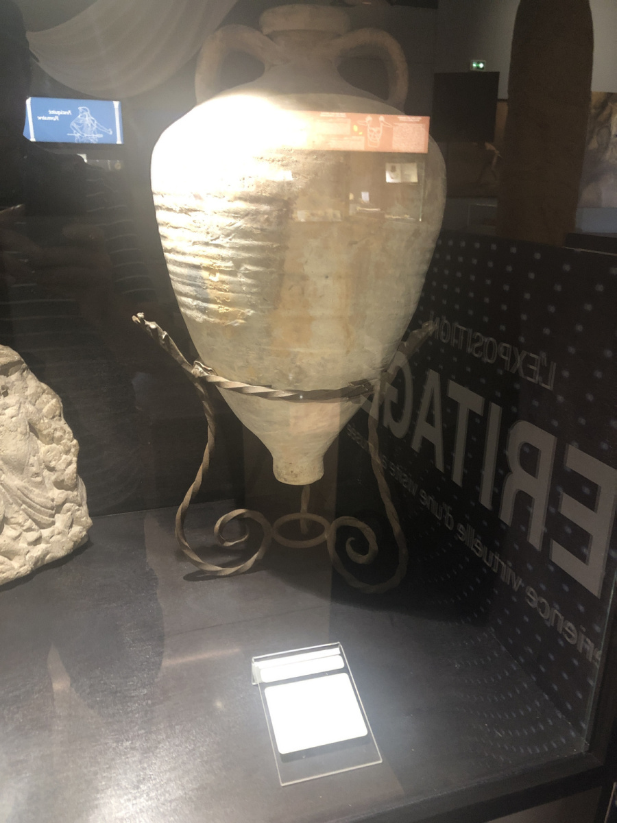 Visite du Musée d’Anthropologie préhistorique  de Monaco